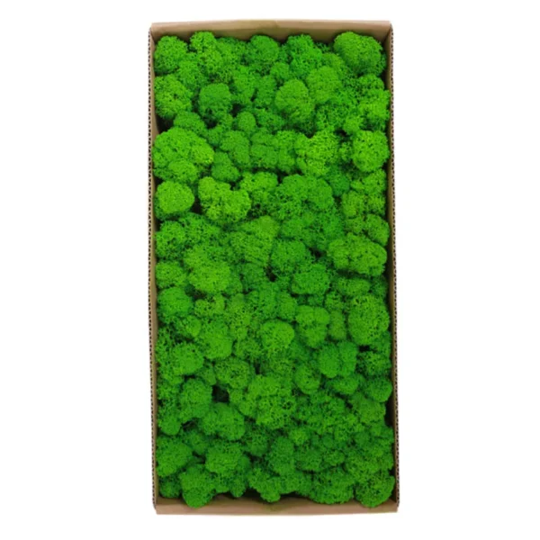 1500g Simulation Plants Eternal Life Moss /Garden Home Decor Wall DIY Flower Material Mini Garden Micro Landscape Fake Moss Gift
