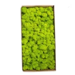 1500g Simulation Plants Eternal Life Moss /Garden Home Decor Wall DIY Flower Material Mini Garden Micro Landscape Fake Moss Gift