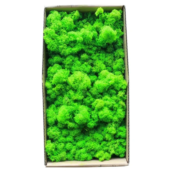 1500g Simulation Plants Eternal Life Moss /Garden Home Decor Wall DIY Flower Material Mini Garden Micro Landscape Fake Moss Gift