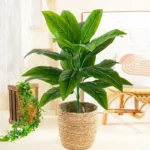 85cm 30 Leaves Tropical Artifici Plant Large Fake Palm Tree Artificial Plants Leaves Plastic Foliage for Home Garden Decoration