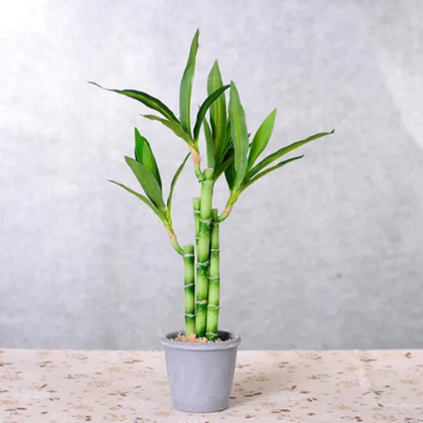 New 40cm rFtificial Lucky Bamboo Succulent Fake Plant Flower Green Potted Garden Outdoor Dining Table Fish Tank Home Decoration
