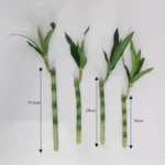 New 40cm rFtificial Lucky Bamboo Succulent Fake Plant Flower Green Potted Garden Outdoor Dining Table Fish Tank Home Decoration