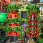 New Fabric Flower Bag Strawberry Growing Bag Plant Pot Wall Hanging Planter Vertical Vegetables Potatoes Greenhouse Garden Tools