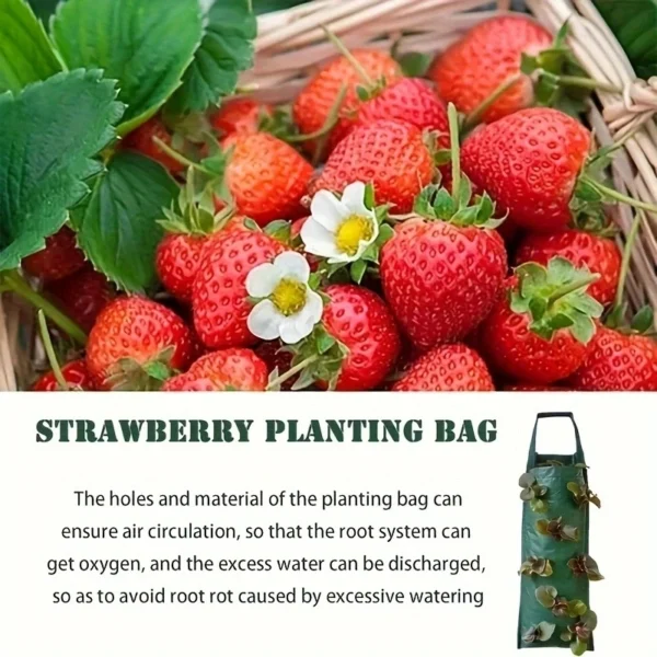 New Fabric Flower Bag Strawberry Growing Bag Plant Pot Wall Hanging Planter Vertical Vegetables Potatoes Greenhouse Garden Tools